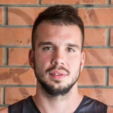 Profile of Nikola Perkovic
