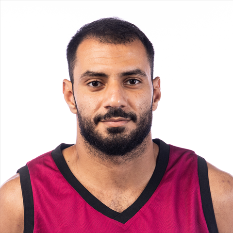 Profile of Omar Mohamed A M Saad
