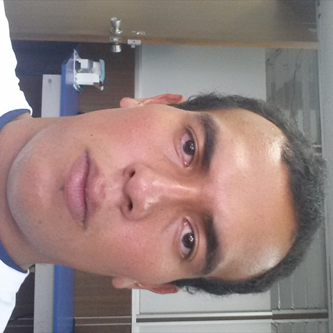 Toro Guerrero Gastelum