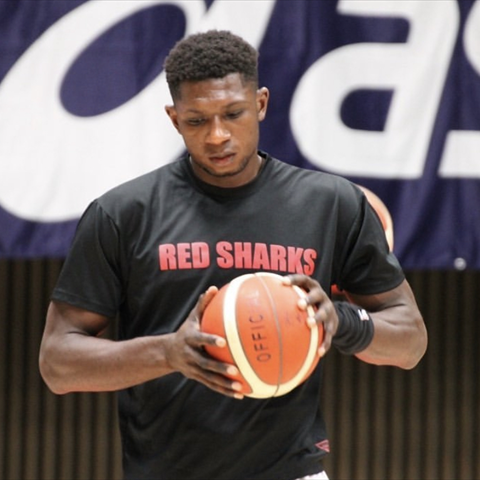 David Kongolo