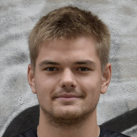 Profile of Artem Nikulichev