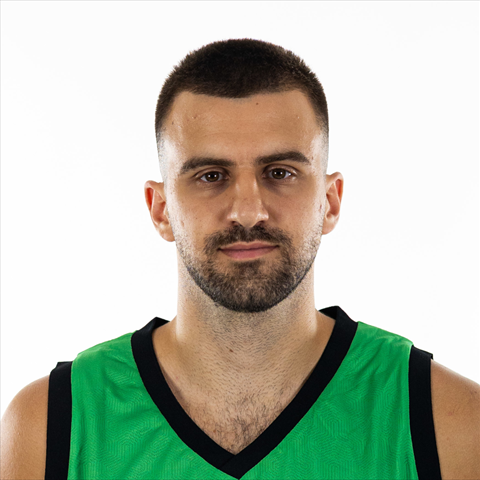 Vojin Ilic
