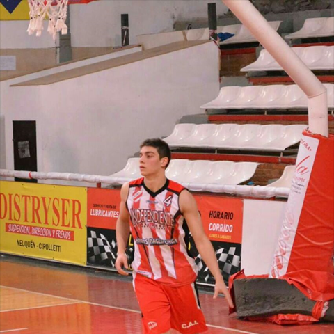 Profile of Gino Veronesi