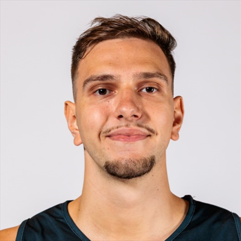 Profile of George Blaj-Voinescu
