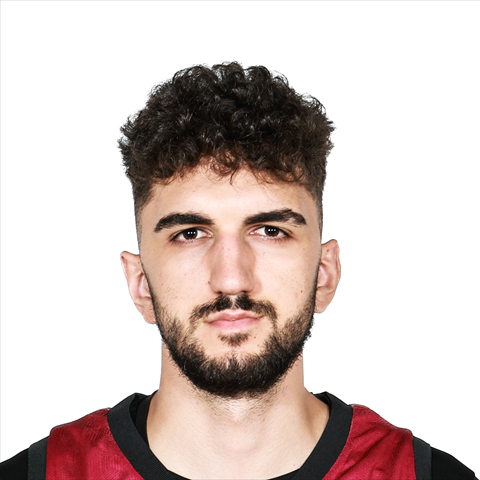 Profile of Srdan Tesic
